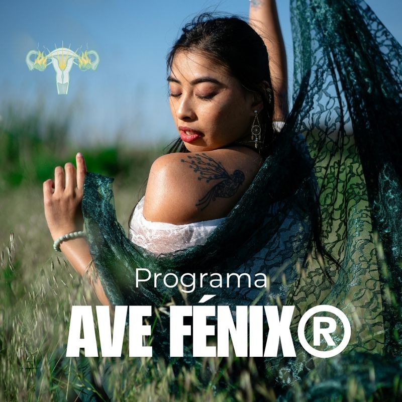 "Ave fénix" Programa terapéutico de 90 días de reconstrucción personal + 7 días de integración final